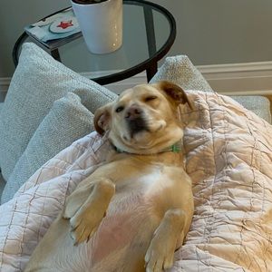 Meet your Posher, Evan